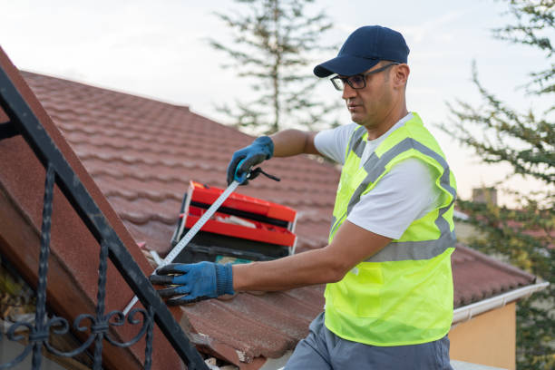 Best Wall Insulation Installation  in Spring Valley Village, TX